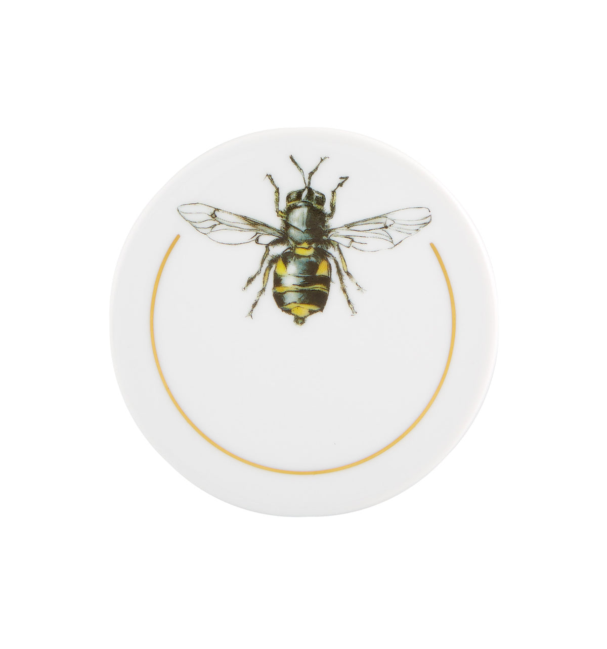Insectos, Set of 6 Coasters