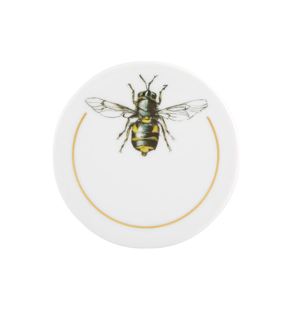 Insectos, Set of 6 Coasters