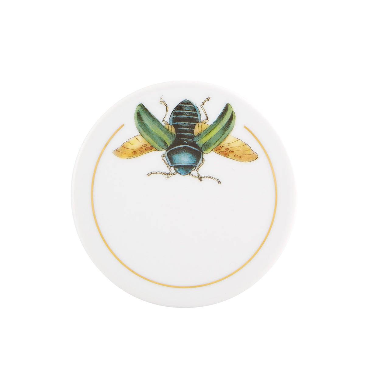 Insectos, Set of 6 Coasters