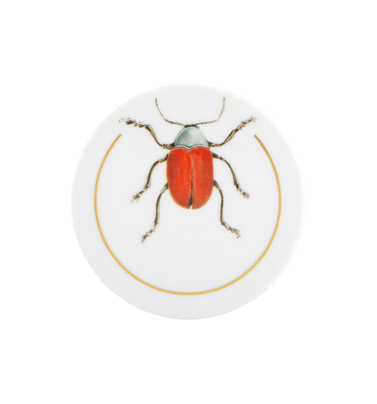Insectos, Set of 6 Coasters