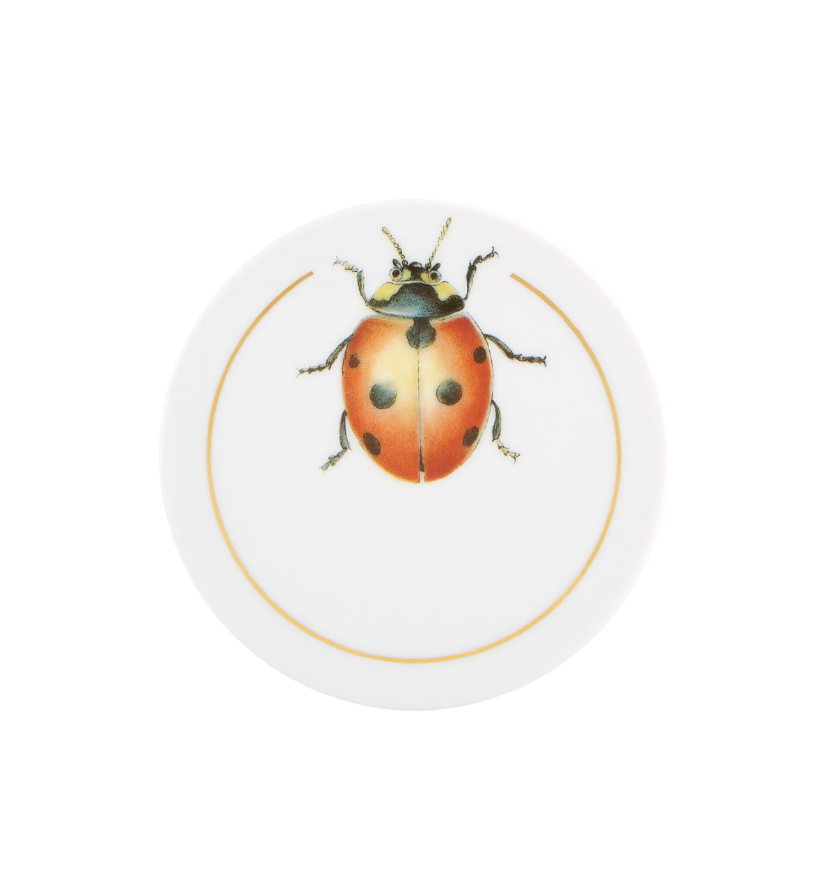 Insectos, Set of 6 Coasters