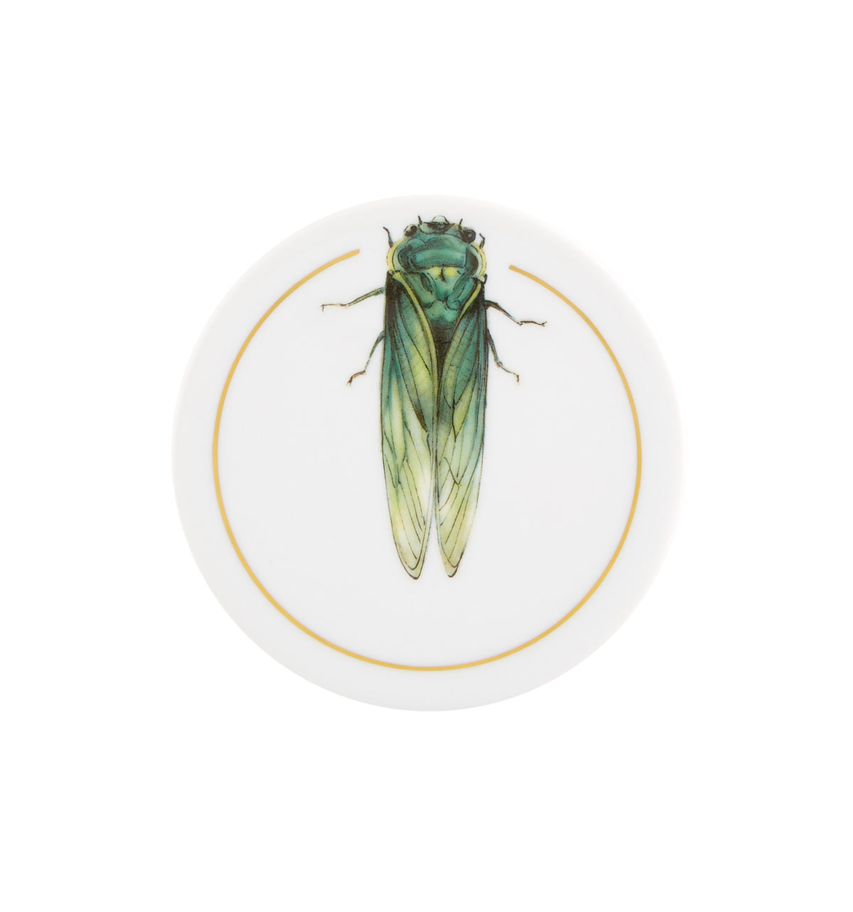 Insectos, Set of 6 Coasters