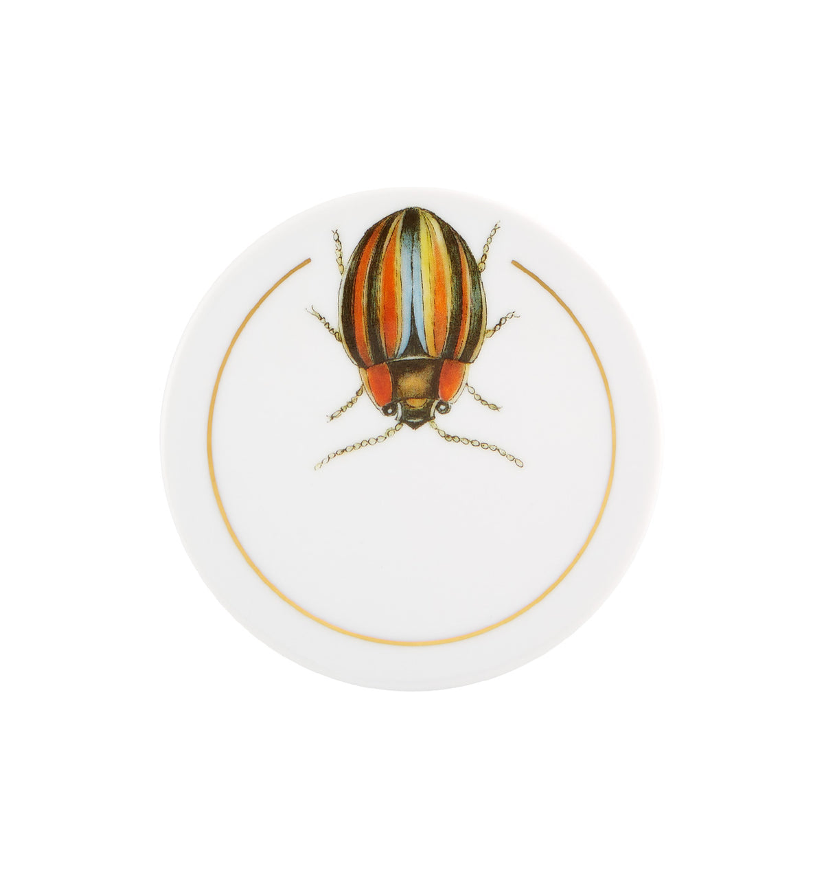 Insectos, Set of 6 Coasters