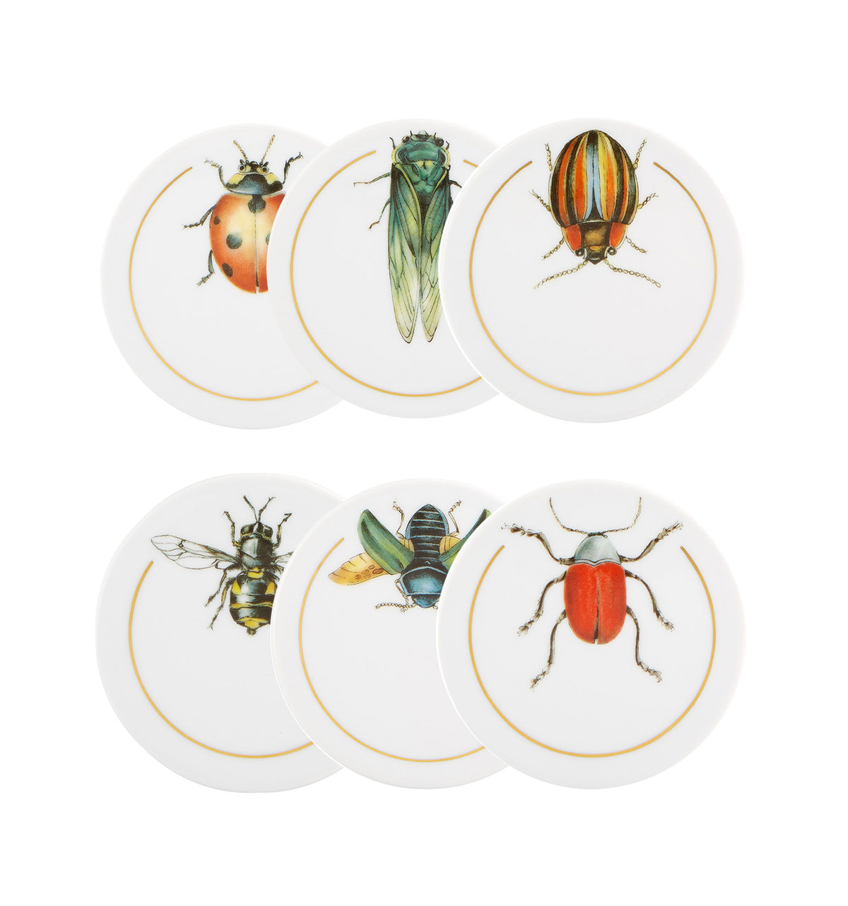 Insectos, Set of 6 Coasters