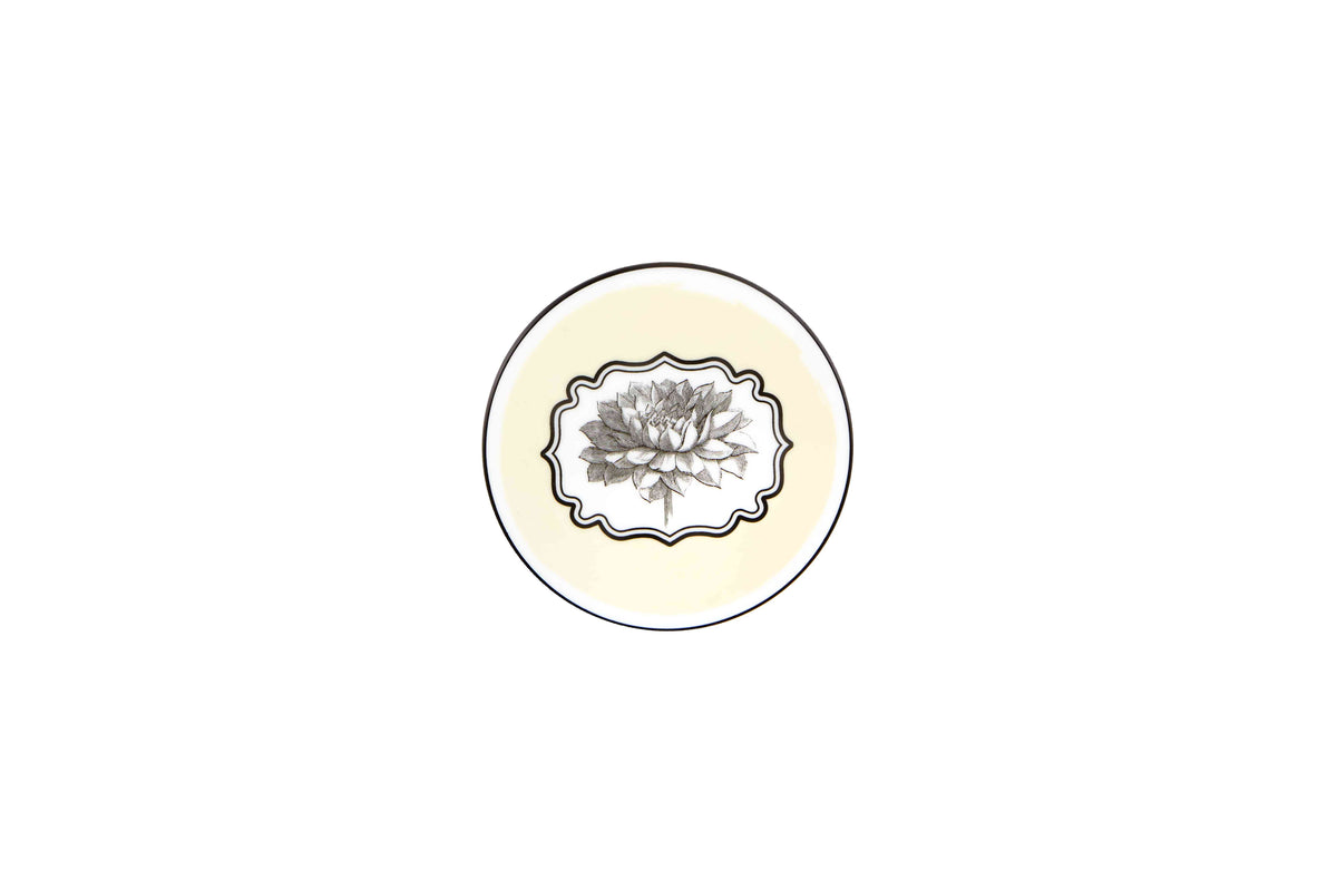 Coasters - Herbariae Collection